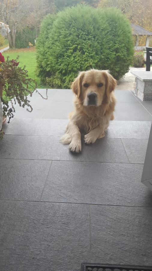 مبيت وإفطار Rastovača House Biba & Leona المظهر الخارجي الصورة